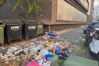 Rabování popelnic v Ostravě: Špína v ulicích i marný boj s bezdomovci