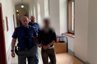 Školačku mlátil, píchal jí pervitin a prodával na sex. Trpěla fyzicky i psychicky, řekla znalkyně - Novinky