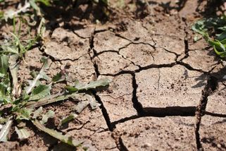Pokus vysvětluje, jak se do suché půdy nevsakuje voda. ‚Povodně to teď nezpůsobí,‘ míní hydroložka