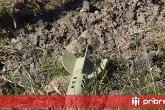 Procházka lesem může skončit nebezpečným nálezem. Policie radí: Na munici nesahejte!