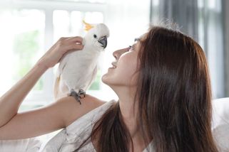 ŽENA-IN - Buďto pták, nebo já! Řekl mi manžel a dal mi týden na rozmyšlenou, svěřuje se Fatima