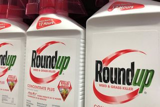 Výrobce herbicidu Roundup vyhrál soud v USA, jeho akcie skokově rostou - Seznam Zprávy