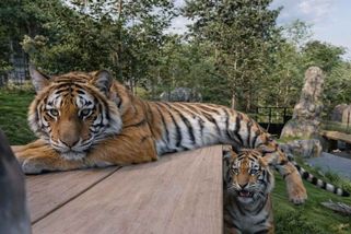 V Liberci vzniká nová ZOO na zelené louce, první práce už začaly - Novinky