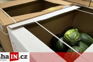 prahain.cz/zivot-ve-meste/zakaznici-maji-problem-s-xxxl-melouny-23738.html?utm_source=www.seznam.cz&utm_medium=seznam_distribuce&utm_campaign=lide