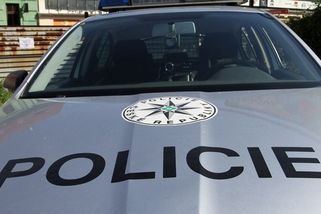 Měl jsem litr rumu a vodky, přiznal řidič autobusu s dvaceti lidmi - Novinky