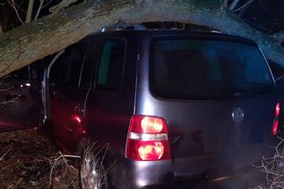 Celostátně hledaný muž napadl na Jihlavsku expřítelkyni, na útěku před policií ho zastavil strom - Novinky