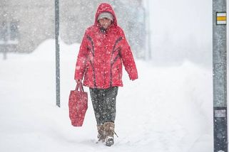Jaká bude zima 2025/26 v Česku. Mírný začátek, pak hrozí mrazy
