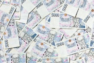 KVÍZ: Zavzpomínejte na „občanku“: 10 otázek z finanční gramotnosti, které prověří váš selský rozum