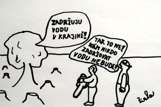 Remízky jsou důležité - Médium.cz