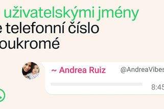 Přezdívka místo čísla. WhatsApp mění způsob, jak se lidé budou spojovat