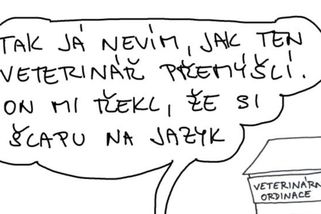 Zoolegrace: Hadí jazyk - Médium.cz