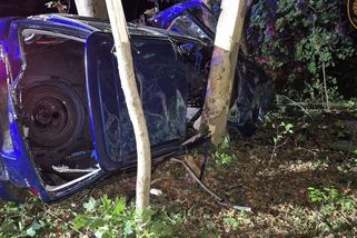 Na Uherskohradišťsku zemřel muž. S autem narazil do stromu - Novinky