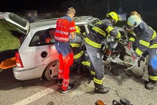 Řidič na Českobudějovicku vběhla do cesty prasata, tři zranění - Novinky
