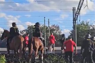 Policie v Edenu zasahovala proti fanouškům, ti zuří: Nahnali nás na koleje!