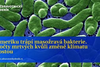Ameriku trápí masožravá bakterie. Počty mrtvých kvůli změně klimatu rostou