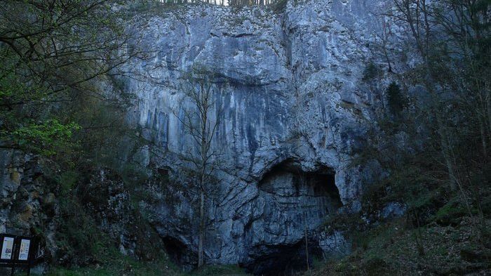 Odkryté tajemství Býčí skály - Médium.cz