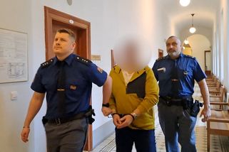 Postiženou ženu pokousal na prsou, opakovaně ji znásilňoval. Invalida si odsedí tři roky - Novinky