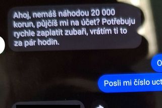 Potřebuju rychle zaplatit zubaři. Dvě ženy z Olomouce naletěly falešným kamarádkám