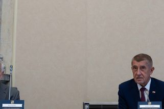 Aleš Rozehnal: Kompetenční žaloba není politický exces, ale obrana Ústavy