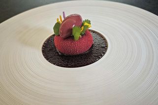 Léto na talíři Papilio zvládlo skvěle. Restaurace čeká na michelinskou hvězdu připravená