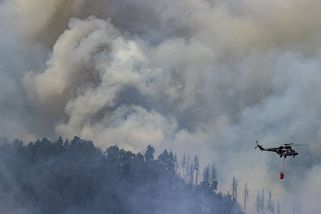 Nejdřív České Švýcarsko hlídal, pak ho zapálil. Ke žhářství se přiznal v ústavu - Seznam Zprávy