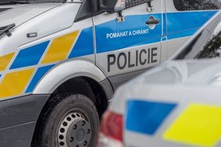 Nahý muž běhal po Klatovsku a chtěl po ženách sex. Skončil v domě seniorky - Novinky