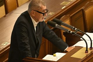 Hnutí ANO má i jednoduché voliče, prohlásil jeho předseda Babiš