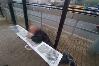 Bába pod kořenem má následovníka, plzeňského dědu pod lavičkou - Novinky