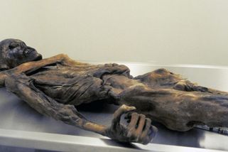 Chléb z mumie? Ledový muž Ötzi znovu překvapil vědce