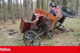 U Třebotovic havaroval koňský povoz, zranili se čtyři lidé. Koně z nehody vyvázli bez újmy