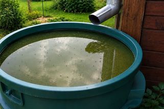 Zahrádkář bojoval s komáry a zápachem v sudě na vodu. Ideální řešení našel až na pátý pokus