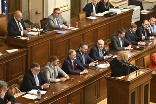 Poslanci první veto prezidenta přehlasovali - Novinky