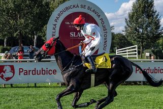 Hurónský řev křehké dívky v cíli. Jak mladá žokejka triumfovala v posledním testu před Velkou pardubickou - Sport.cz