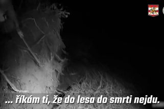 Do lesa do smrti nejdu. Strach z divočáků vyhnal ztracené houbařky v Chřibech na strom - Novinky