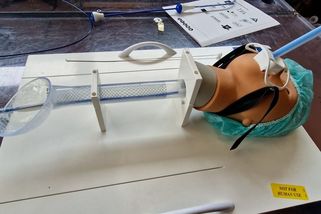 Firma „obléká“ lidský jícen, střeva nebo dýchací trubice psů | Novinky.cz: Věda a školy