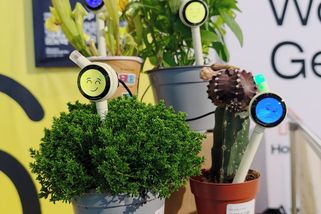 IFA 2026: Je rostlina spokojená? Představili tyčinku, která ukáže, jaké má květina emoce