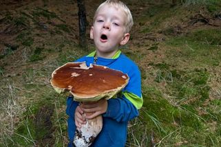 Rekordní hřib z Krušných hor, kluk ho skoro neunesl. Nad Ústím to je na kosu