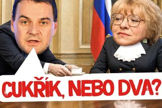 Ruské plány: Je teď na řadě Česko? Mluvte o míru a buďte v klidu, Babiš s Macinkou to mají v paži | Události Luďka Staňka