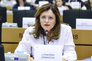 Europoslanci ANO odmítli podpořit Ukrajinu. Proti...