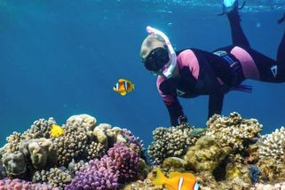 Marsa Alam: proč se sem Češi vracejí a proč to není Egypt, jak si ho mnozí představují - Médium.cz