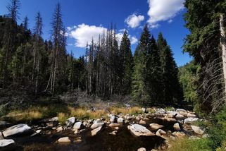 Šumava bez růžových brýlí: Kde nás okouzlila a kde zklamala? - Médium.cz