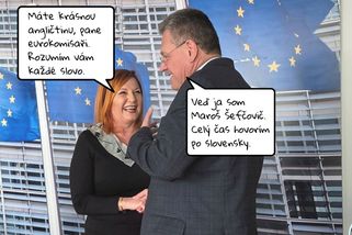 Schillerová zabodovala v cizím jazyce - Médium.cz