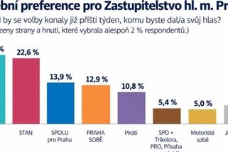 prahain.cz/politika/exkluzivni-pruzkum-v-praze-mesic-pred-volbami-vede-ano-tesne-pred-stan-28574.html?utm_source=www.seznam.cz&utm_medium=seznam_distribuce&utm_campaign=lide