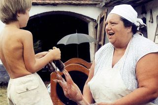 Film Slunce, seno, jahody slaví 40. narozeniny. Ověřte si v testu, jak celou trilogii znáte - Proženy.cz