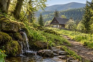 Přátelé Zeleného údolí: Dětství v přírodě, které dnes působí jako jiný svět - Médium.cz