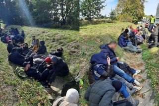 V odstavené dodávce bez zmizelého řidiče zůstalo na Šumpersku 41 migrantů - Novinky