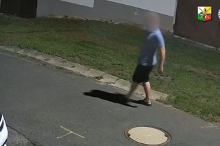 Dopadli muže, který v noci v bytě na Plzeňsku stál u postele dívky. Spletl jsem se, tvrdil - Novinky