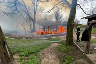 Při požáru stájí v Praze uhynulo osm koní. Hořelo tam i před dvěma týdny - Novinky