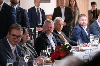 Orbán, Fico i Duda gratulovali Zemanovi k osmdesátce na Hluboké - Novinky