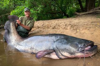 Gigantický sumec Jakuba Vágnera přepisuje všechny rekordy. Ryba nemá obdobu ani evropských veletocích